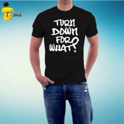 Tshirt homme Turn down for what