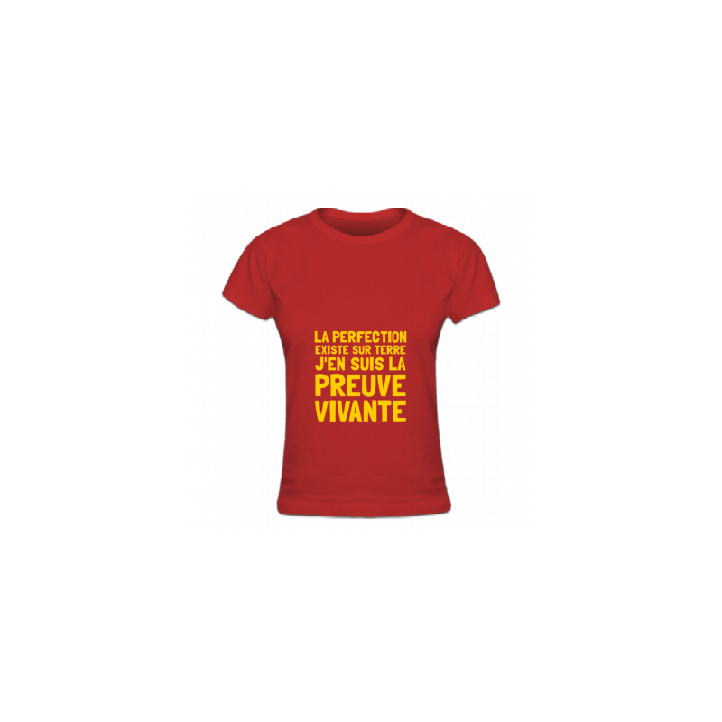 Tshirt de la perfection